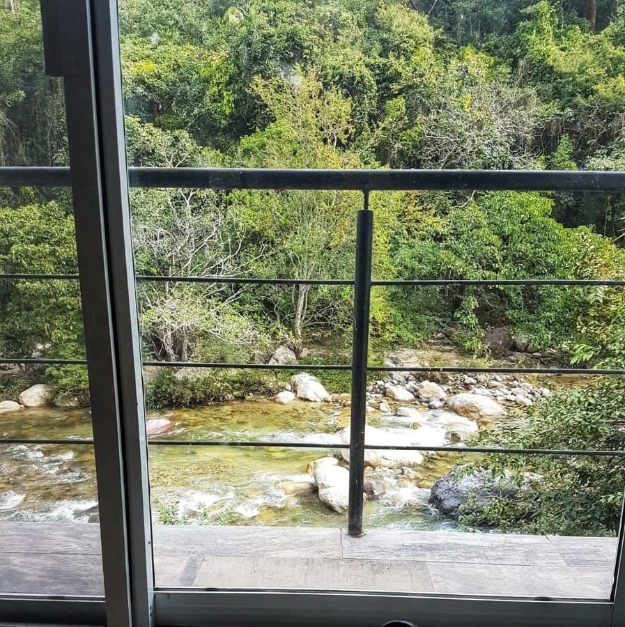 פוארטו ואלארטה Casa Rio Cuale And River Retreat מראה חיצוני תמונה