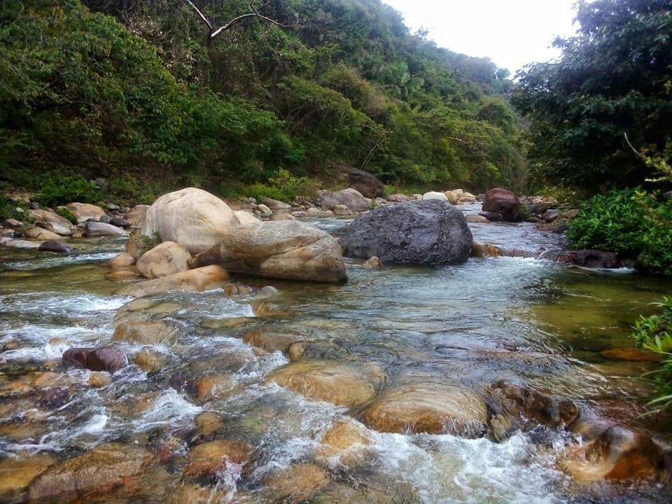 פוארטו ואלארטה Casa Rio Cuale And River Retreat מראה חיצוני תמונה