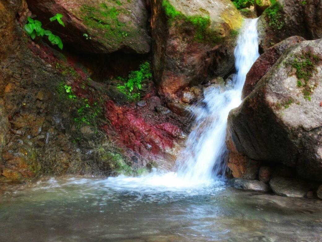 פוארטו ואלארטה Casa Rio Cuale And River Retreat מראה חיצוני תמונה